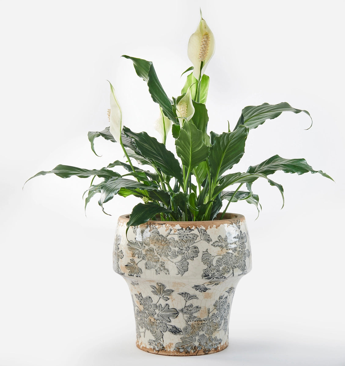 Ceramic Planter w/ Green Leaf