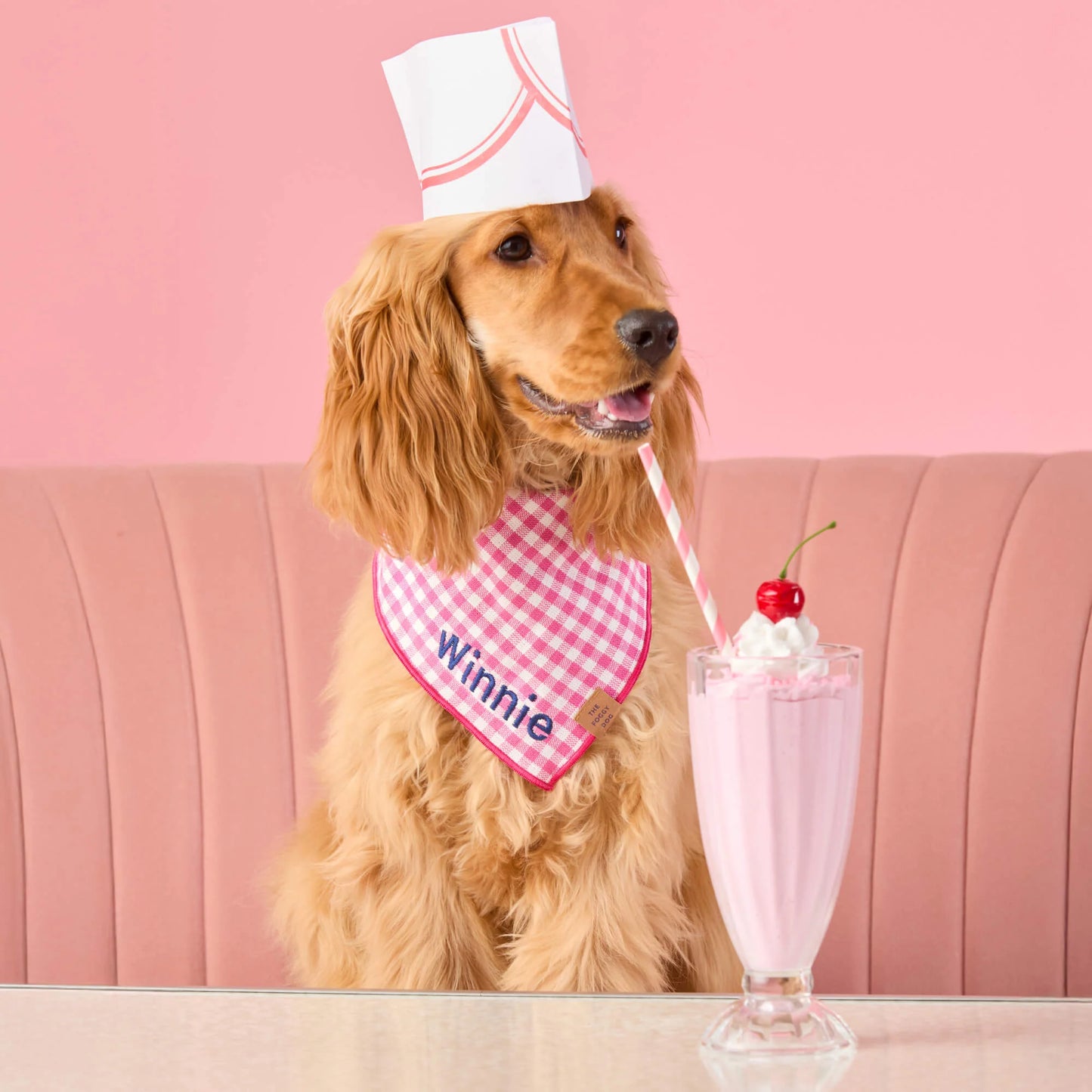 Hot Pink Gingham Dog Bandana by The Foggy Dog