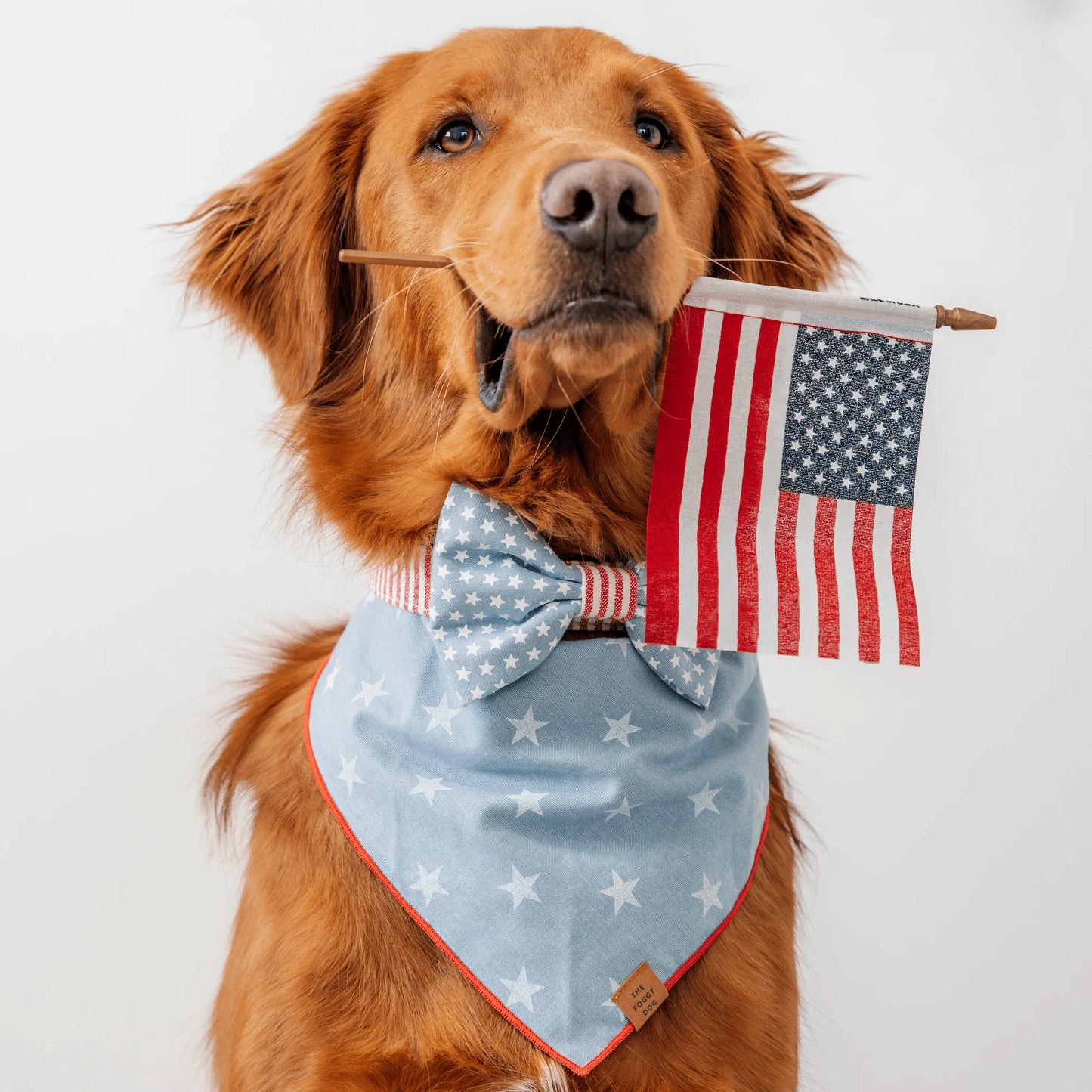 Stars & Stripes Dog Bow Tie by The Foggy Dog