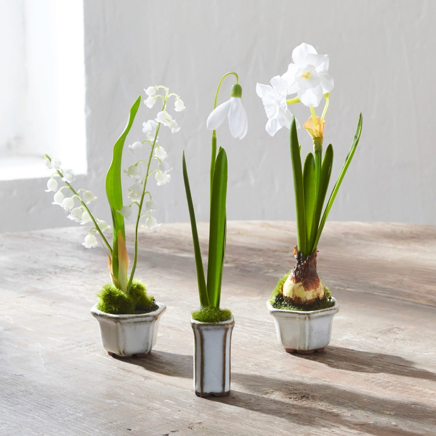 8.5" Single Narcissus In Cachepot