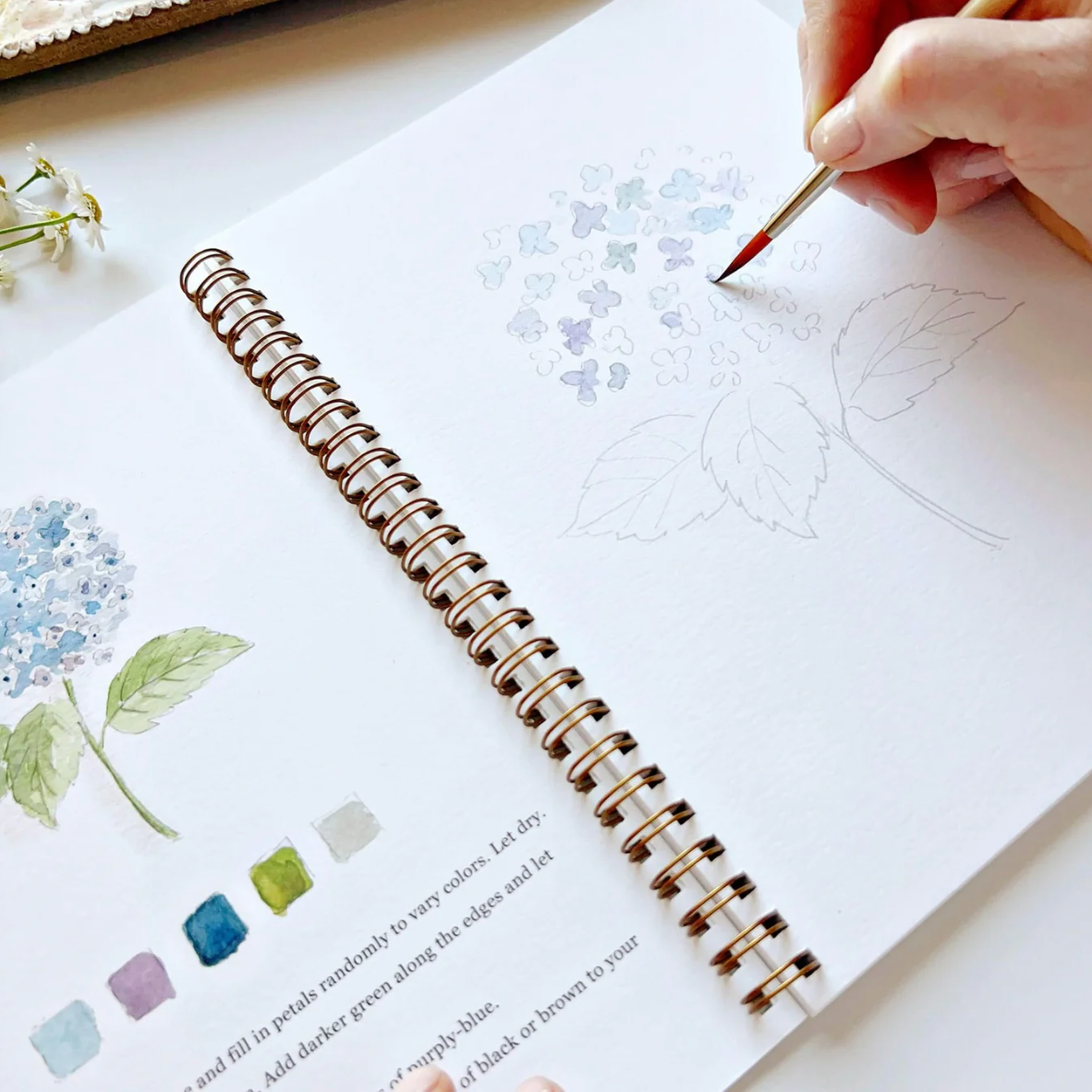Flowers Watercolor Workbook by Emily Lex Studio