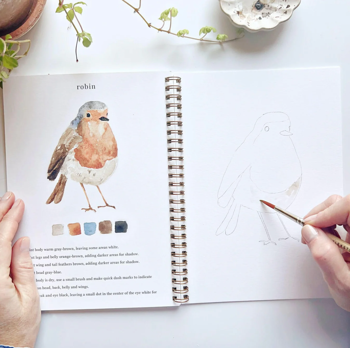 Birds Watercolor Workbook by Emily Lex Studio