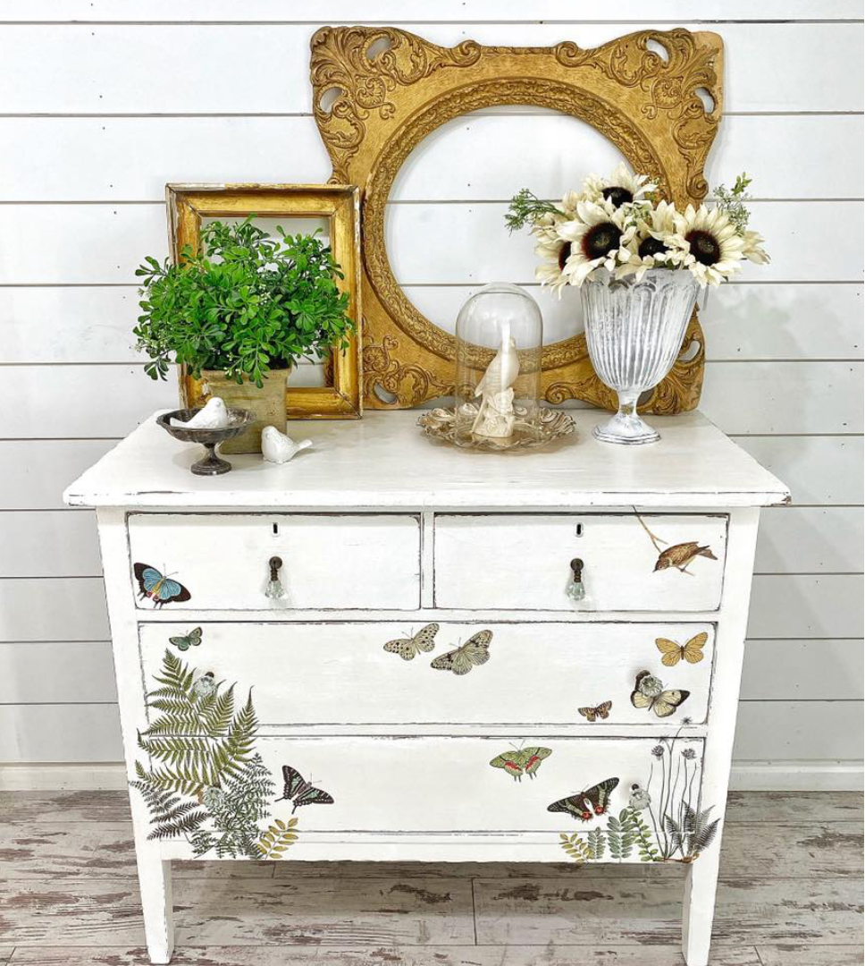 Entomology Etcetera IOD Transfer 12x16 Pad by Iron Orchid Designs
