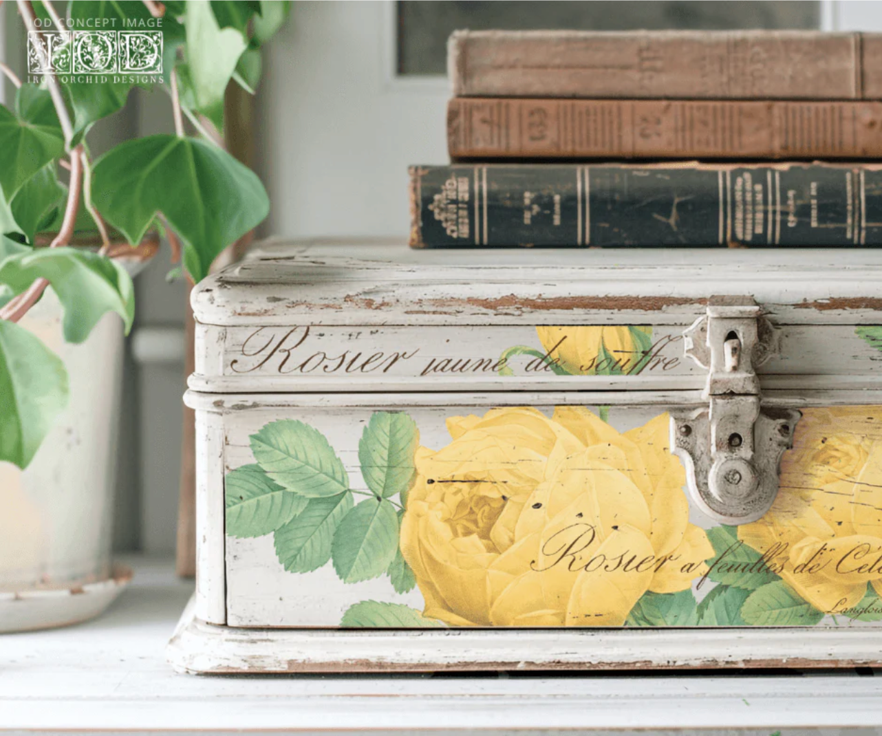 Rose Botanical IOD Transfer 12x16 Pad by Iron Orchid Designs