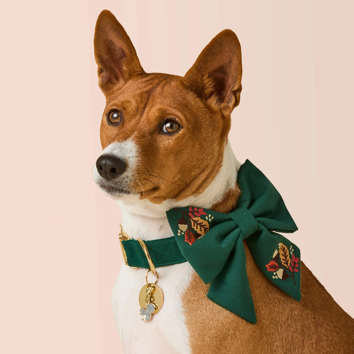 Fall Foliage Embroidered Lady Dog Bow by The Foggy Dog