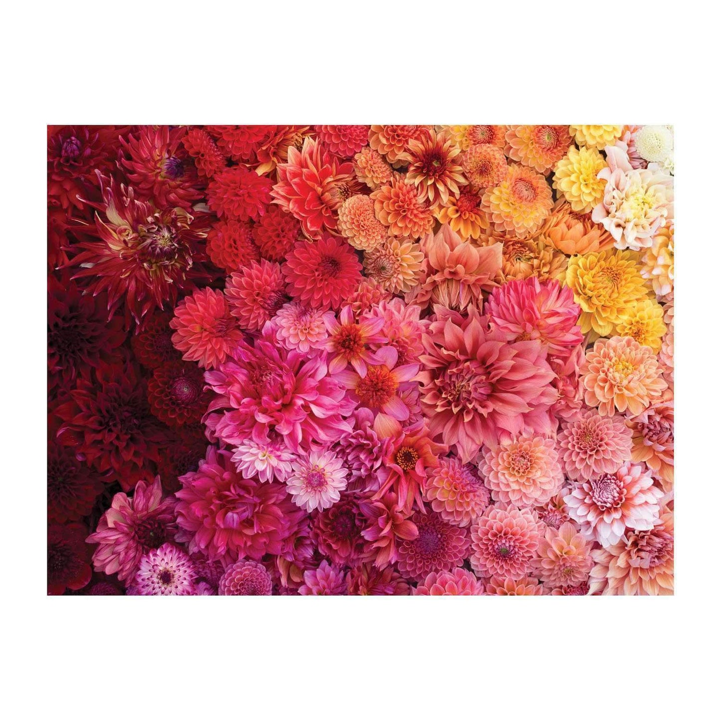 Floret Farm's Cut Flower Garden Double-Sided 500 Piece Puzzle