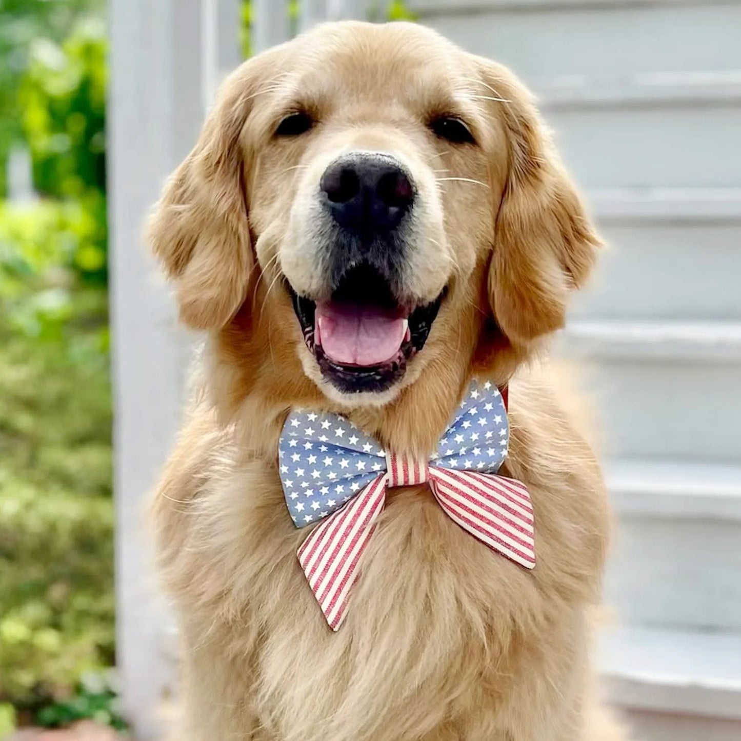 Stars & Stripes Lady Dog Bow by The Foggy Dog