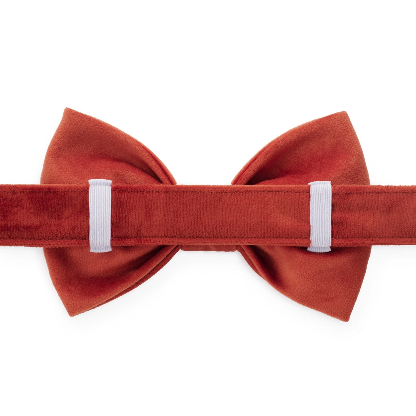 Football Embroidered Dog Bow Tie by The Foggy Dog