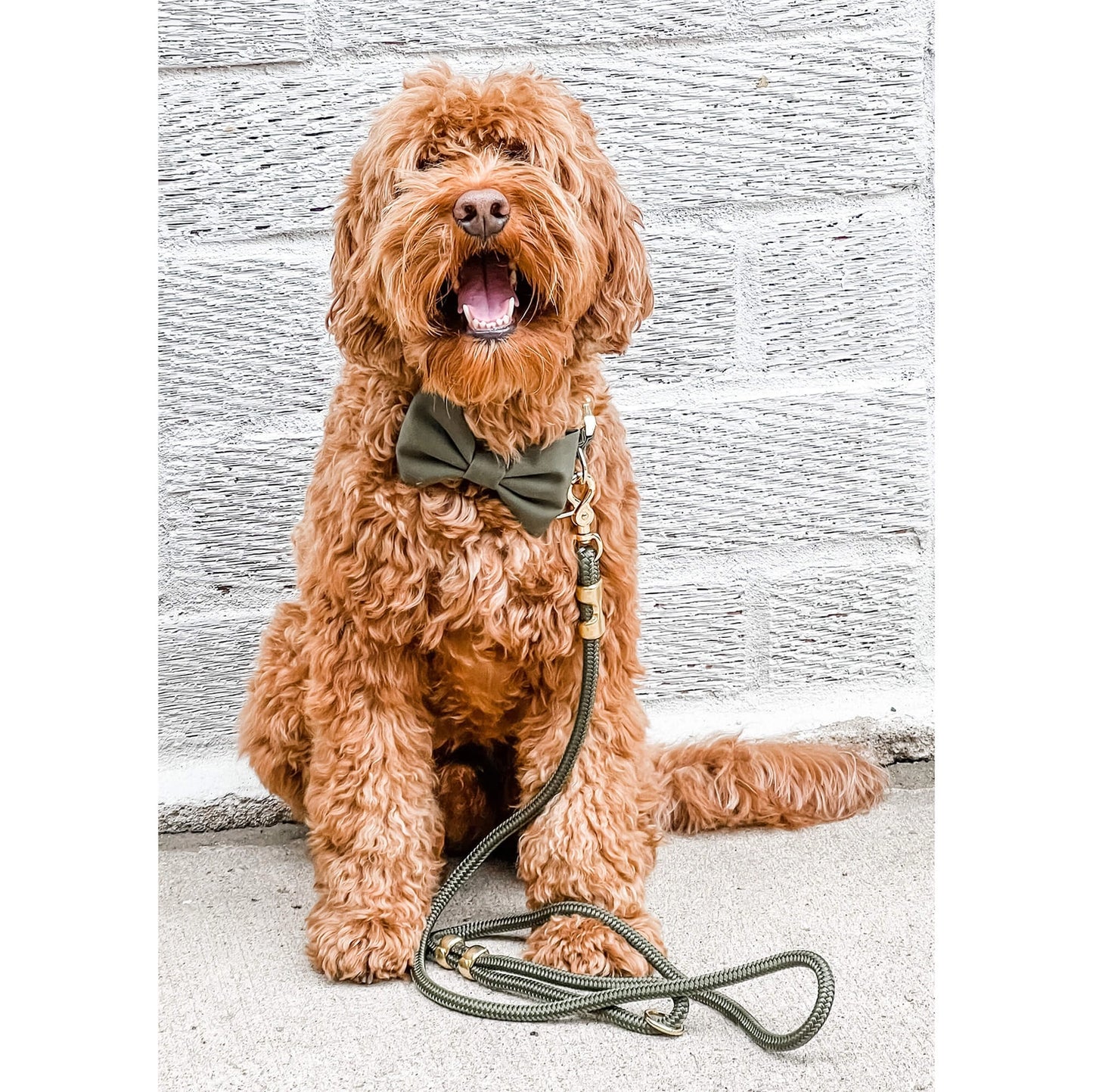 Olive Marine Rope Dog Leash by The Foggy Dog