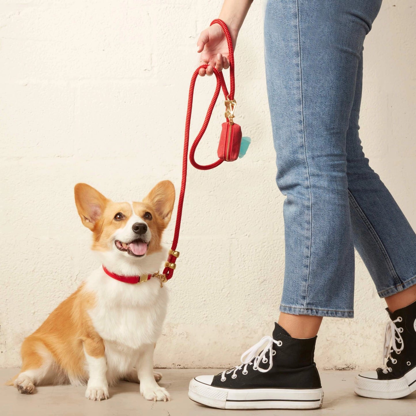 Ruby Waxed Canvas Waste Bag Holder by The Foggy Dog
