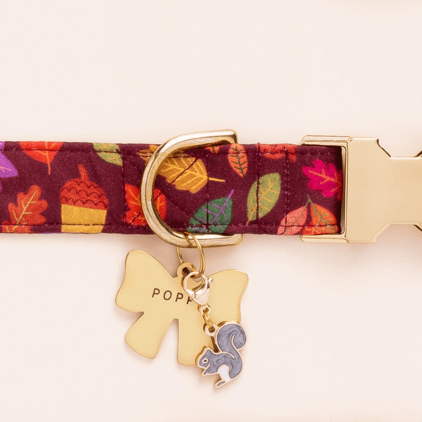 Squirrel Dog Collar Charm by The Foggy Dog