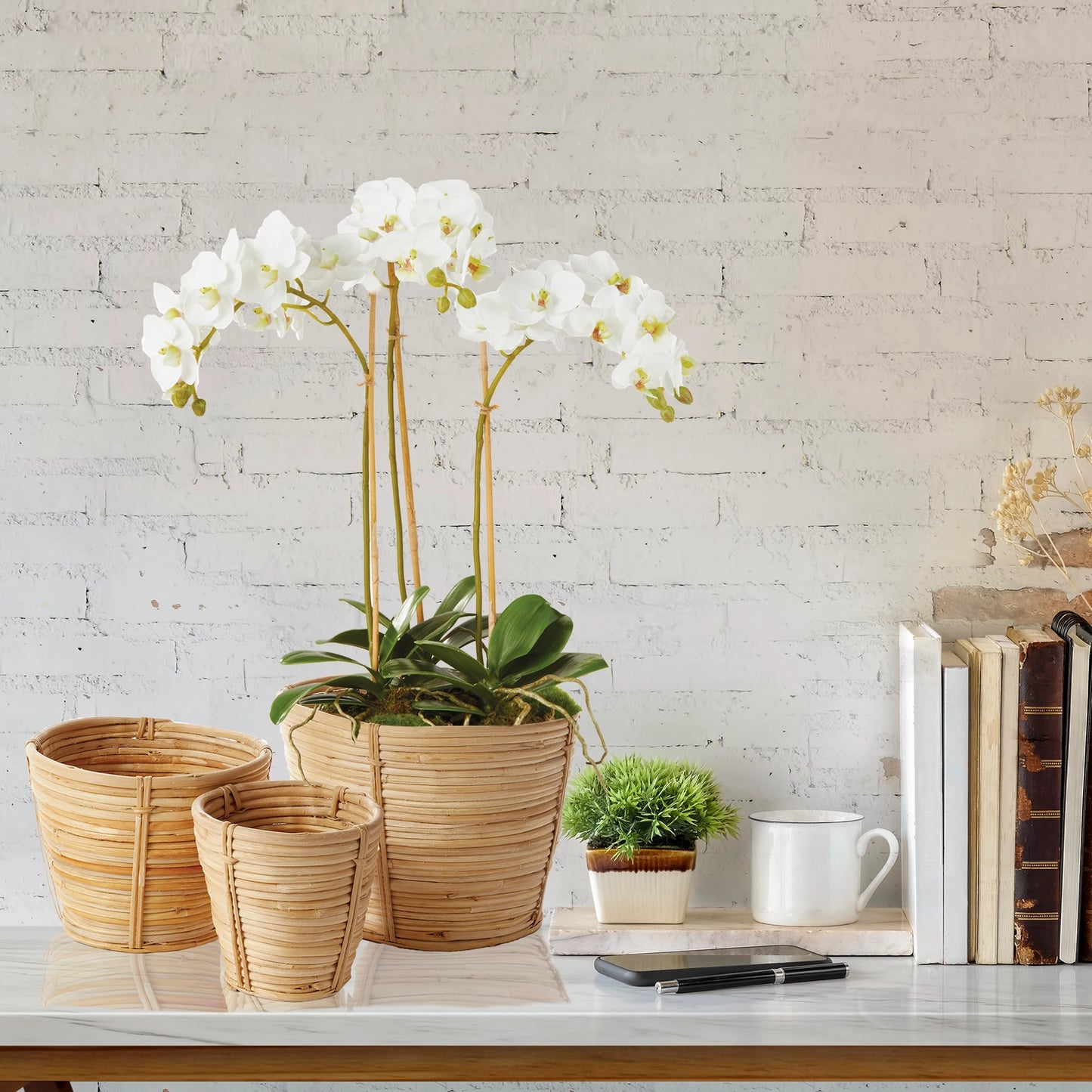 Phalaenopsis Orchid Mini Garden Drop-in 16"