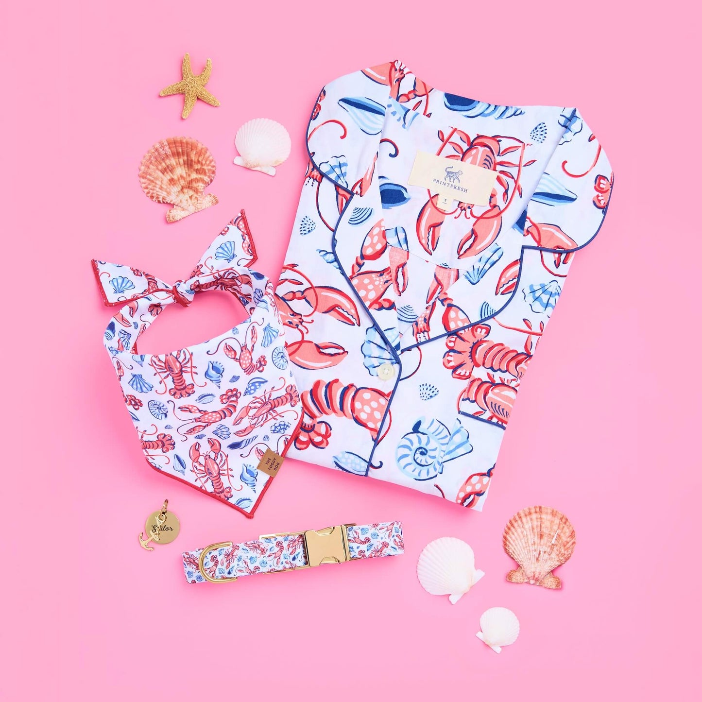 Lobster Landing Dog Bandana by The Foggy Dog + Printfresh