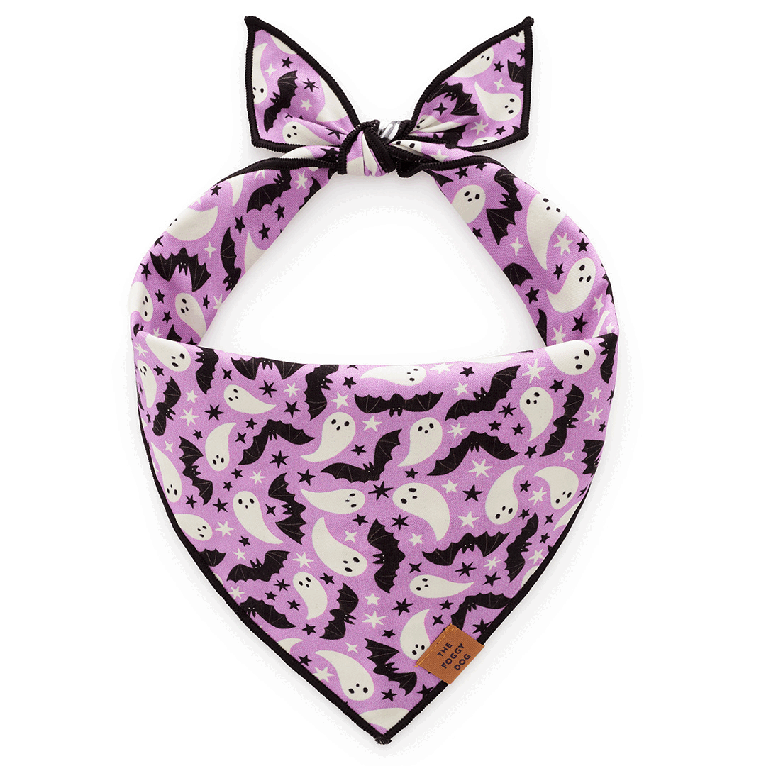 Spooky Season Reversible & Glow-in-the-Dark Dog Bandana by The Foggy Dog