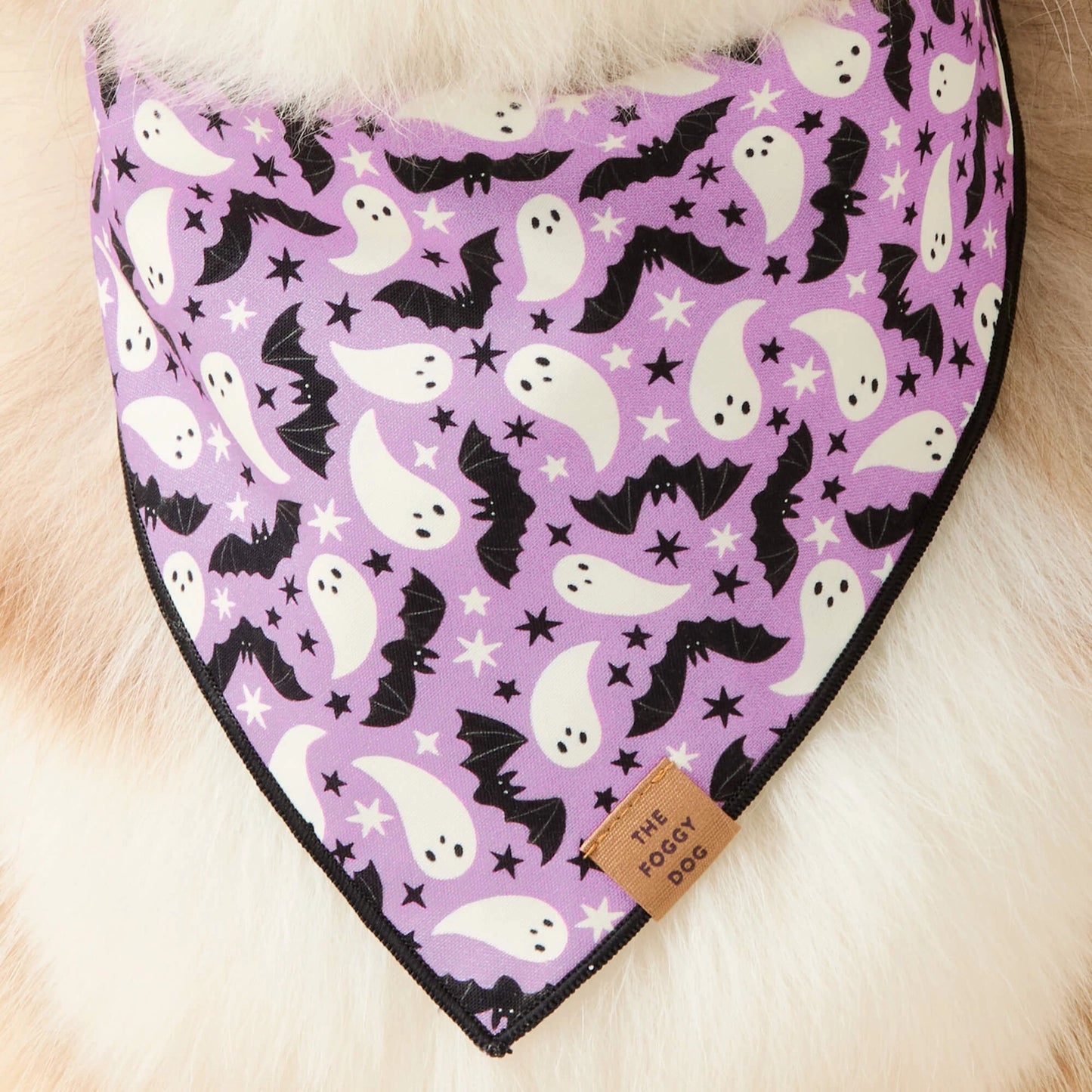 Spooky Season Reversible & Glow-in-the-Dark Dog Bandana by The Foggy Dog