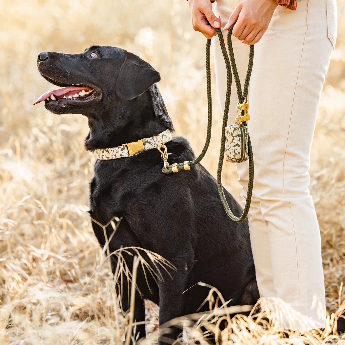 Olive Marine Rope Dog Leash by The Foggy Dog