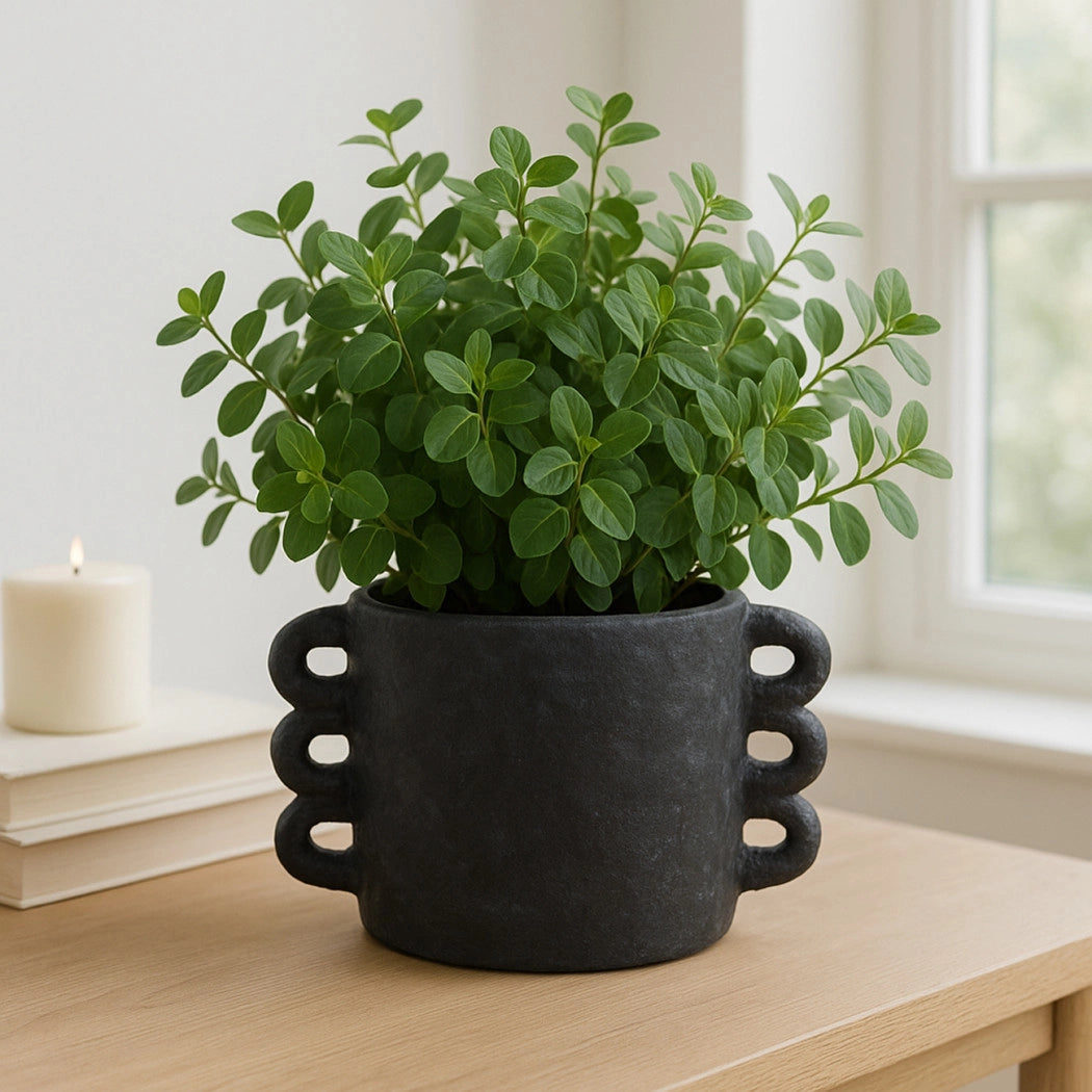 Black Ceramic Multi-Loop Arch Handle Planter Pot