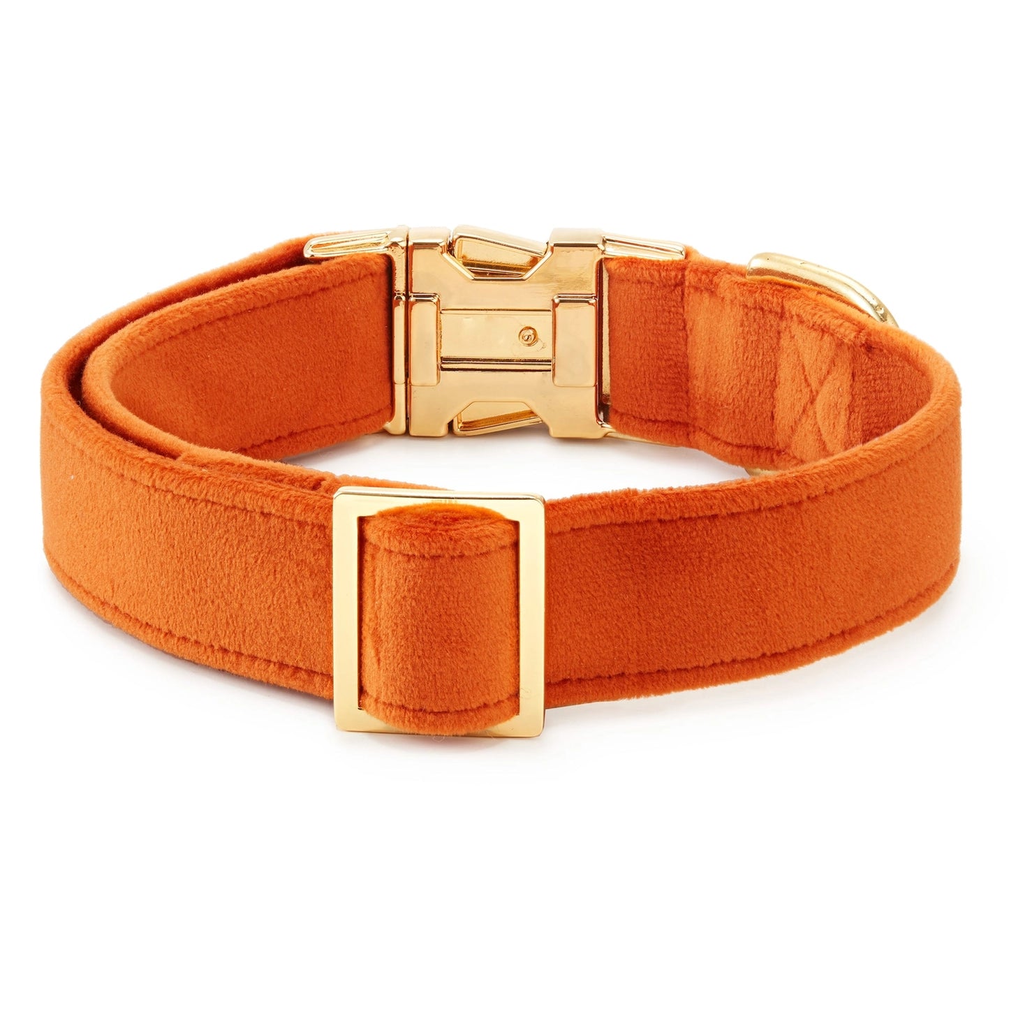 Pumpkin Velvet Dog Collar by The Foggy Dog