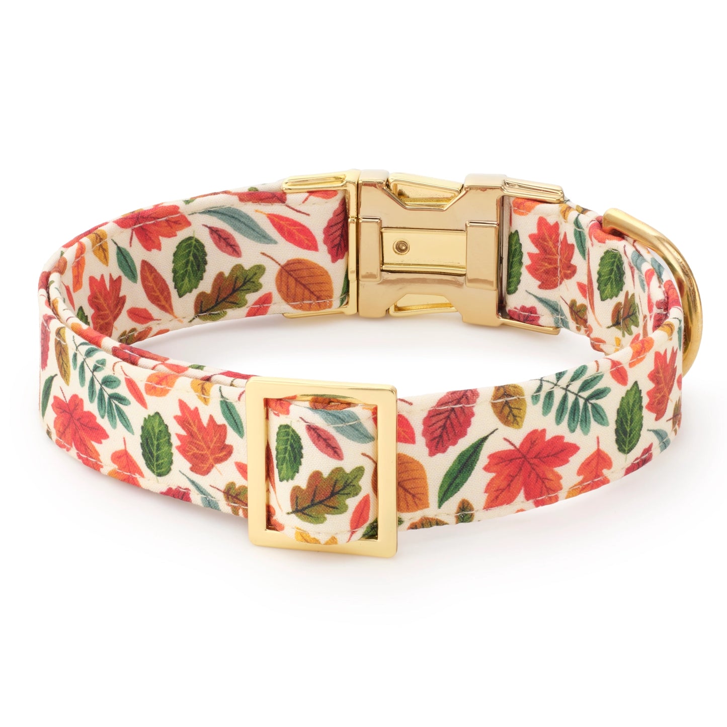 Falling Leaves Dog Collar by The Foggy Dog