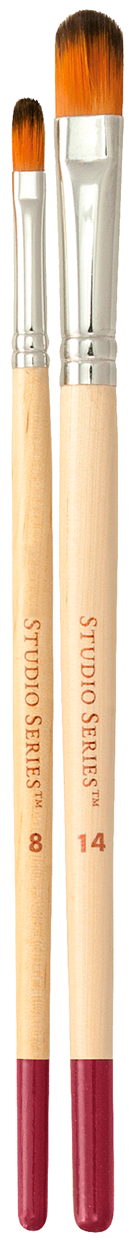 Artist's Paintbrush Set (12 Brushes)
