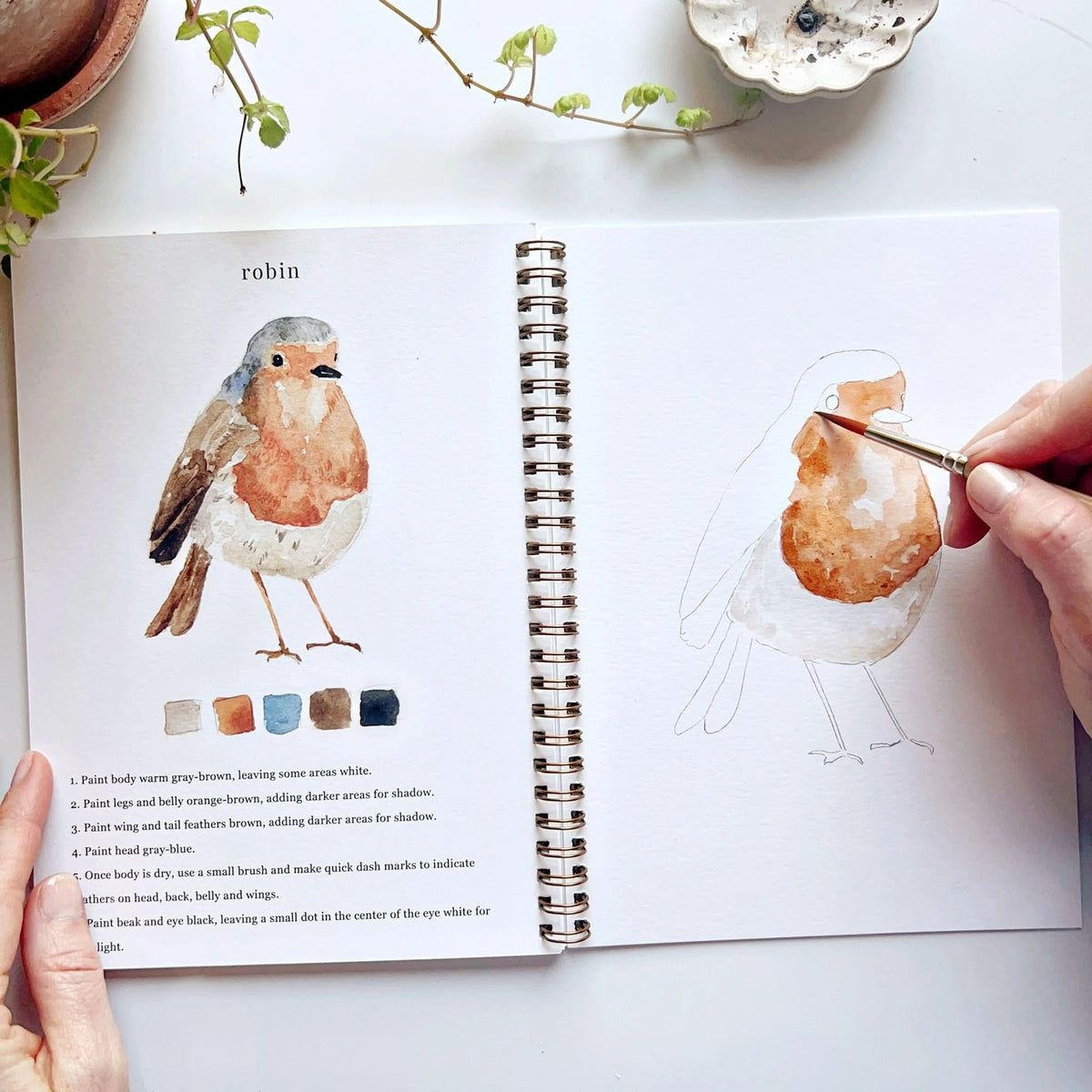 Birds Watercolor Workbook by Emily Lex Studio