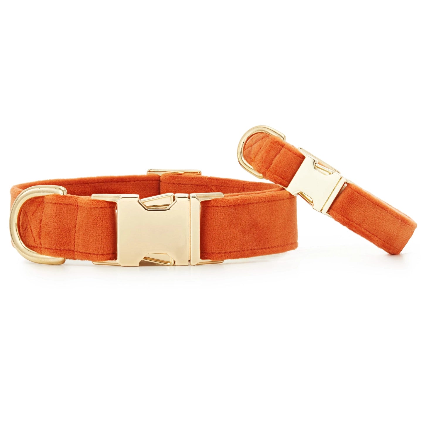 Pumpkin Velvet Dog Collar by The Foggy Dog