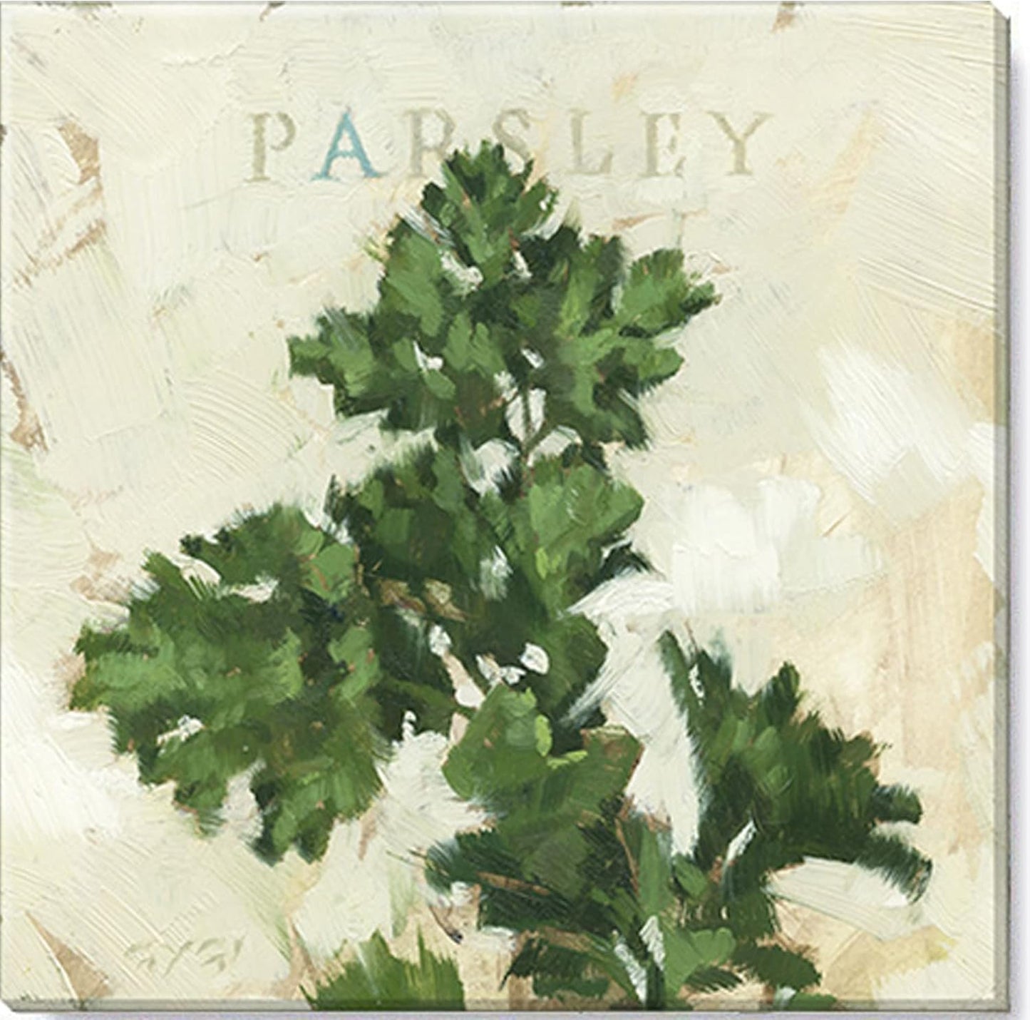 Parsley Giclee Wall Art 9x9"