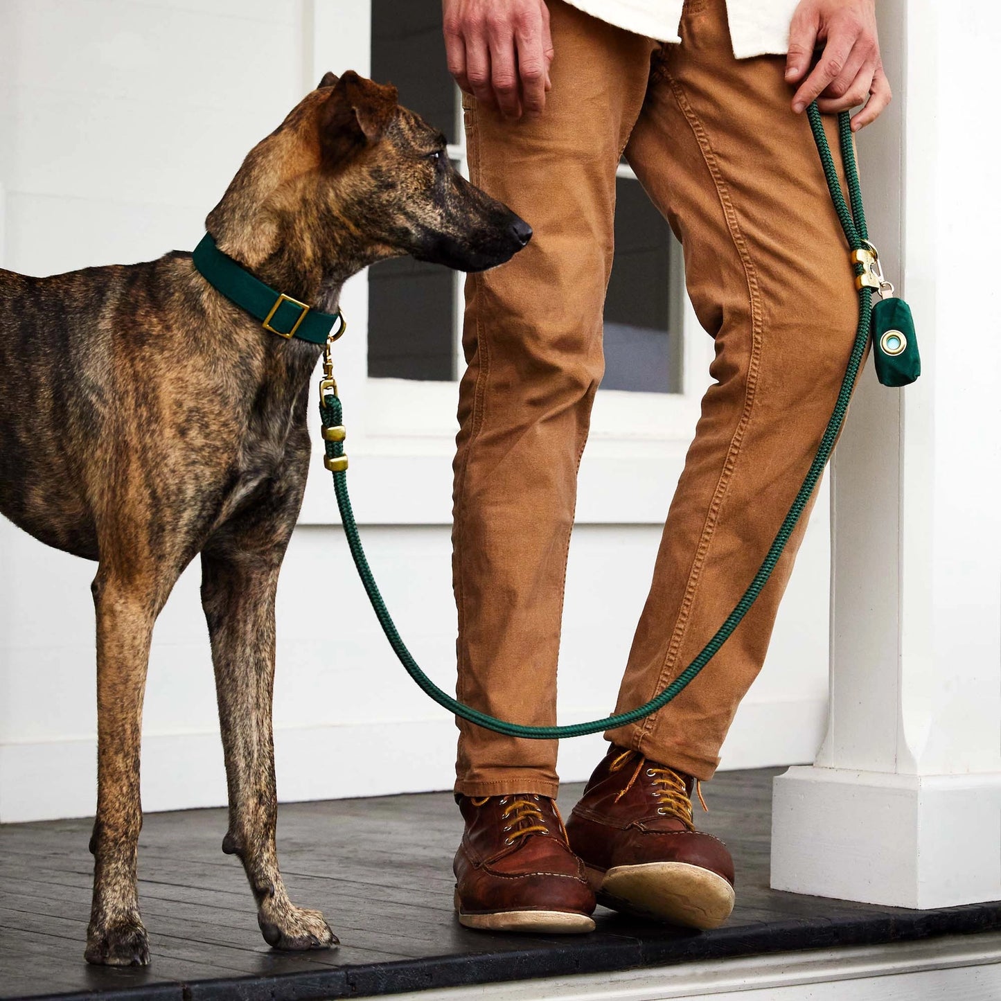 Evergreen Marine Rope Dog Leash by The Foggy Dog