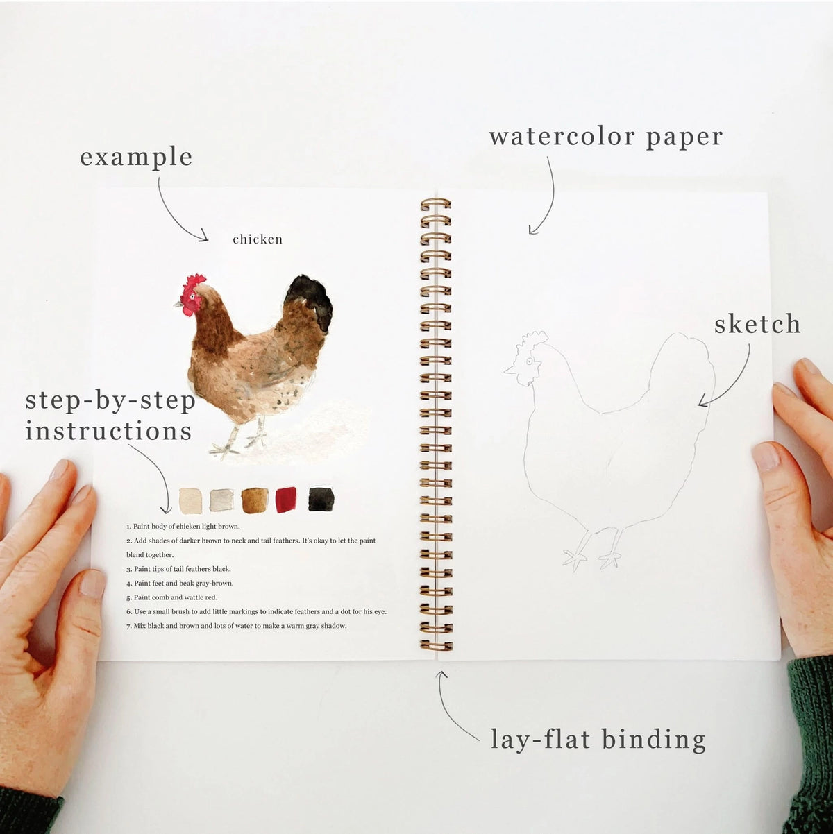 Animals Watercolor Workbook by Emily Lex Studio