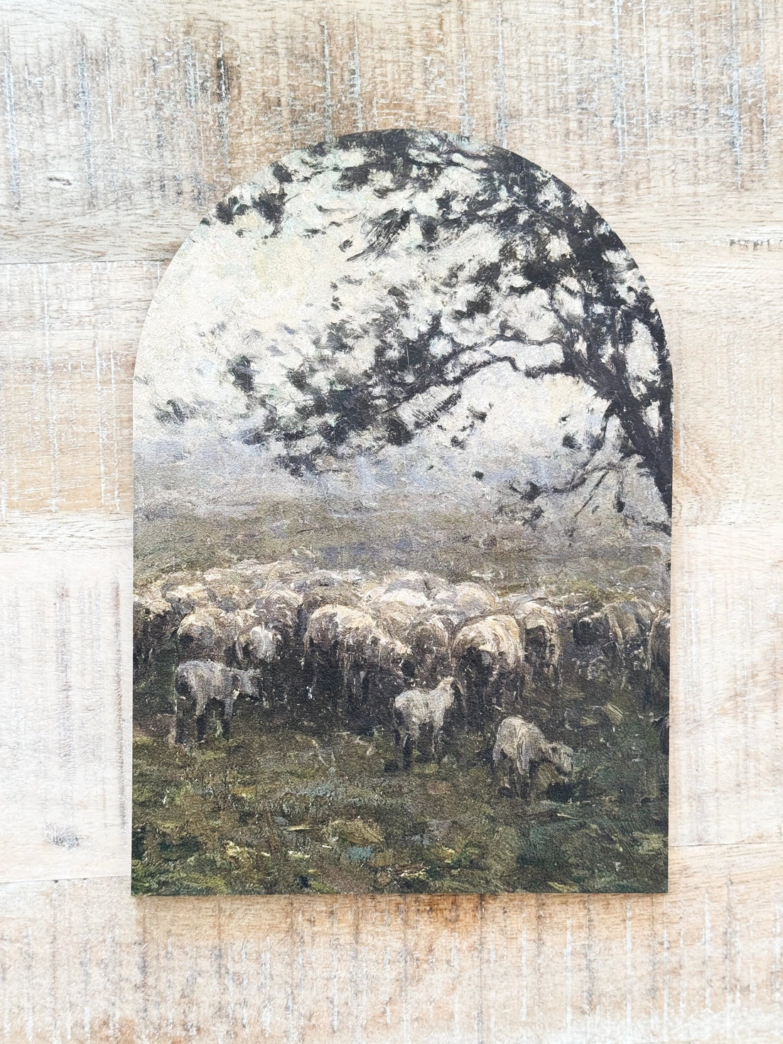 Moody Sheep Arch Art
