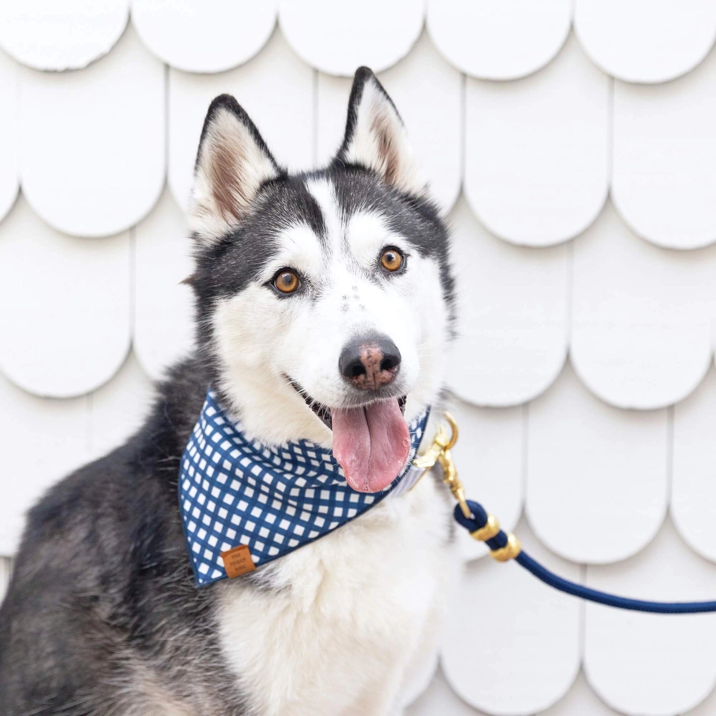 Ocean Marine Rope Dog Leash by The Foggy Dog