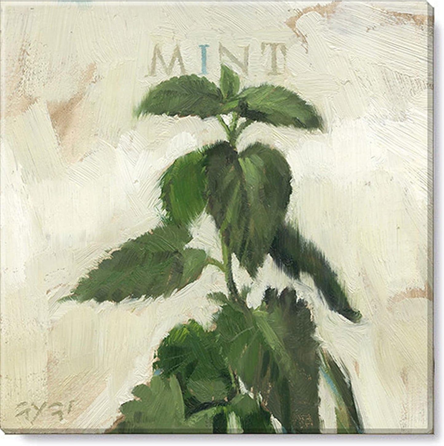 Mint Giclee Wall Art 9x9"