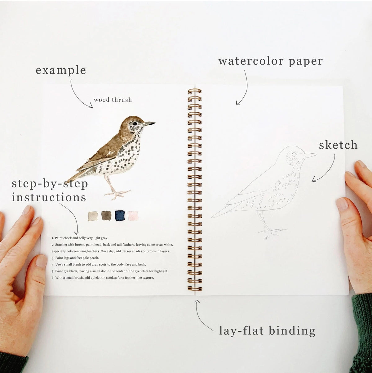 Birds Watercolor Workbook by Emily Lex Studio