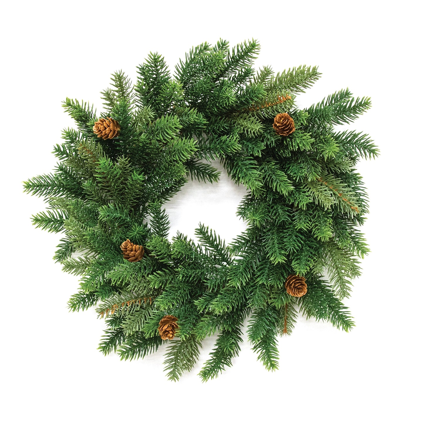 6" Norfolk Island Pine Candle Ring