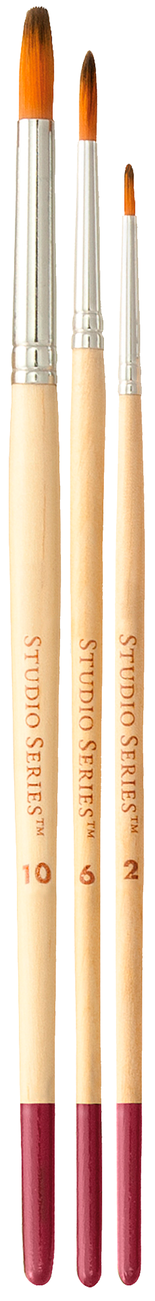Artist's Paintbrush Set (12 Brushes)