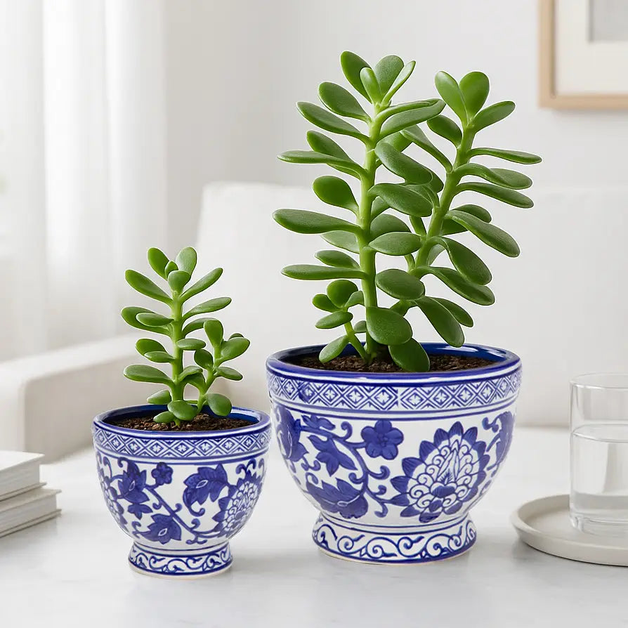 Blue Ceramic Chinoiserie Bowl Planters (2 Sizes)