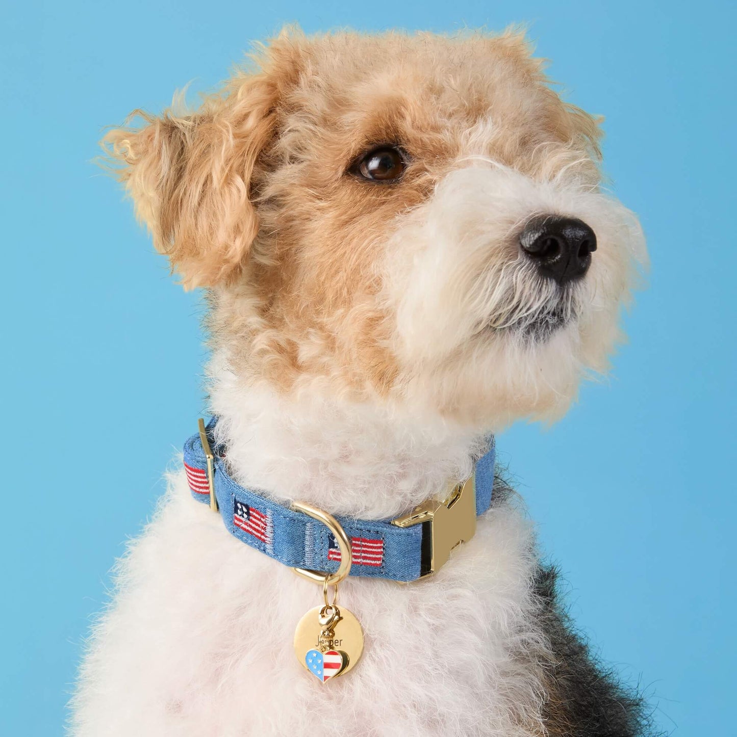 American Flag Embroidered Dog Collar by The Foggy Dog