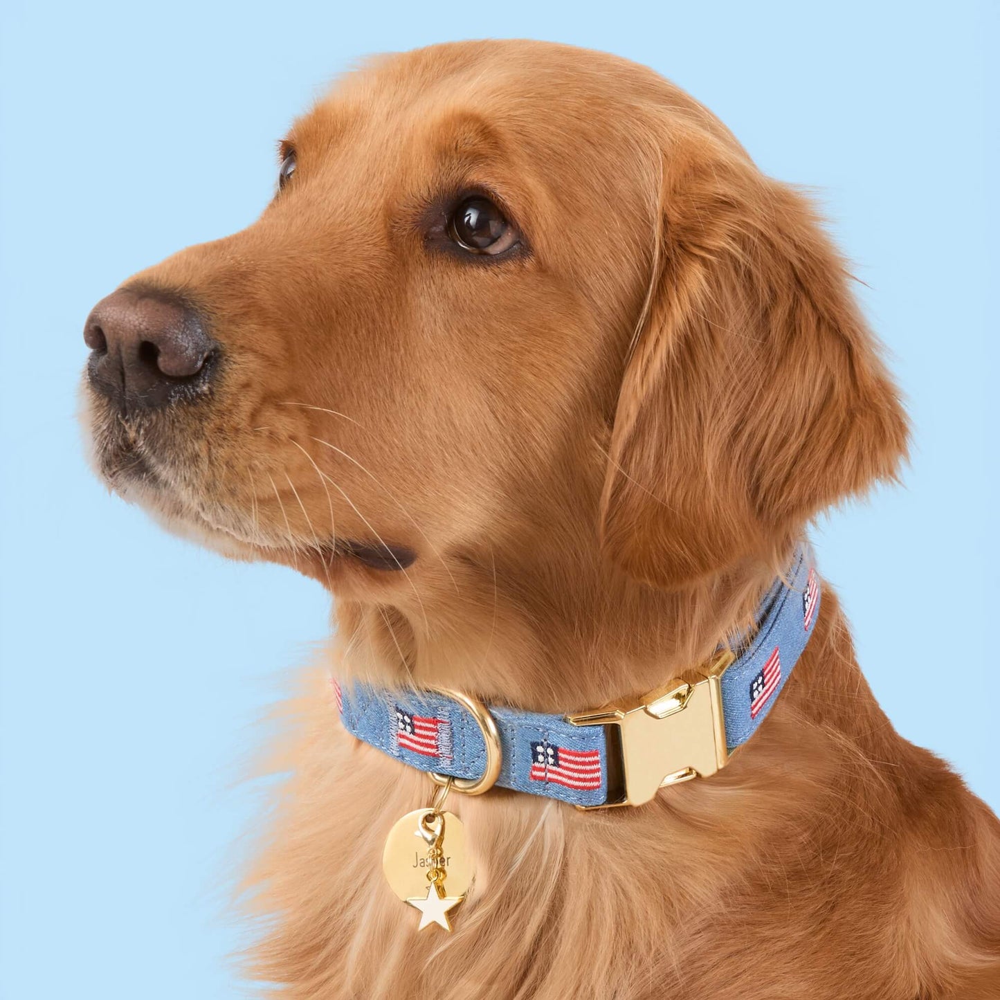 American Flag Embroidered Dog Collar by The Foggy Dog