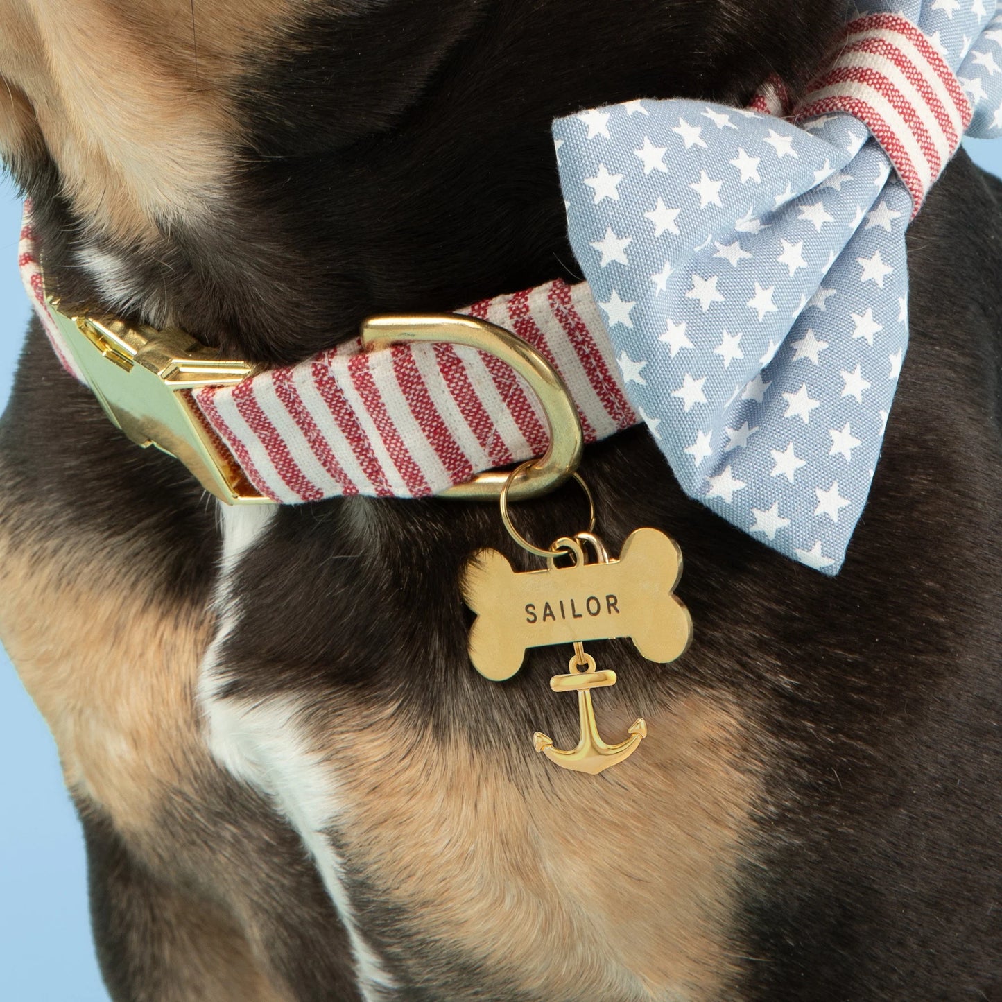 Gold Anchor Dog Collar Charm by The Foggy Dog