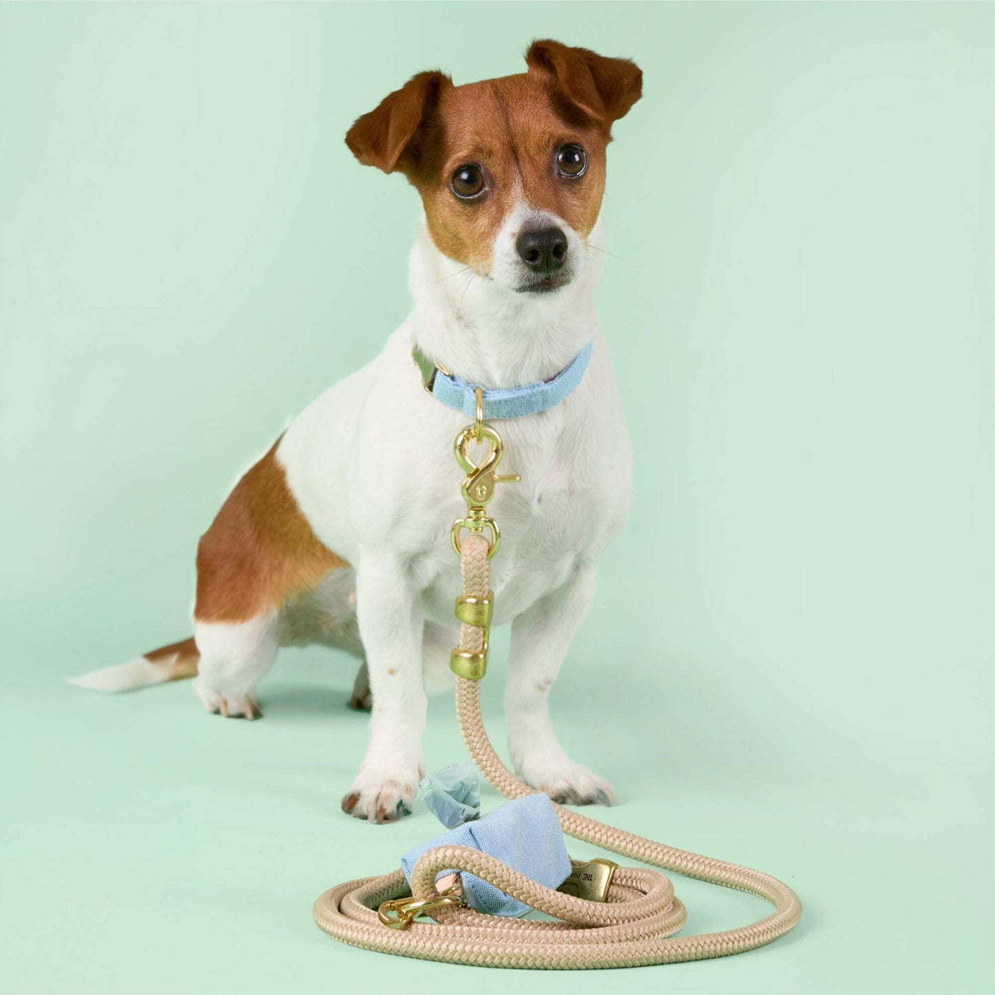 Flax Marine Rope Dog Leash by The Foggy Dog