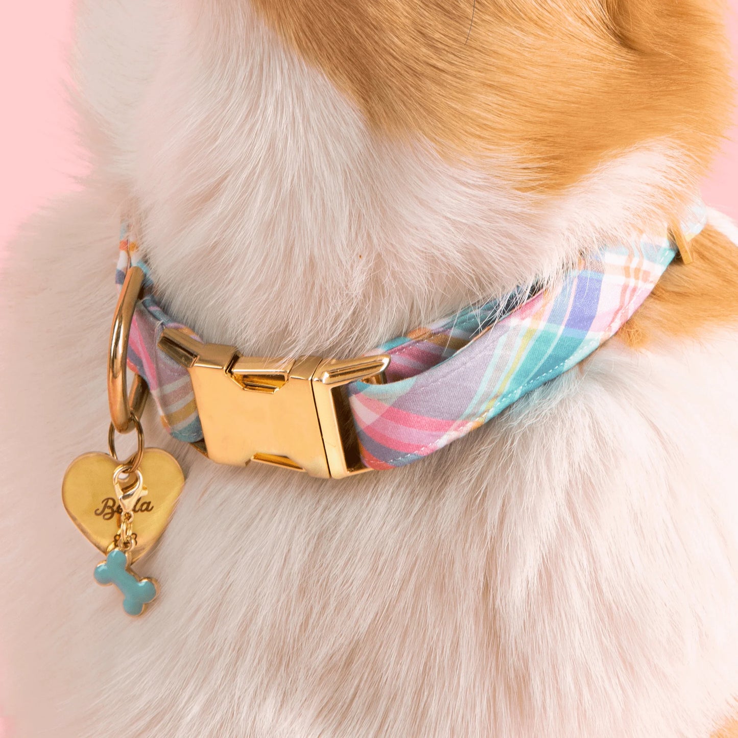 Bone Dog Collar Charm by The Foggy Dog