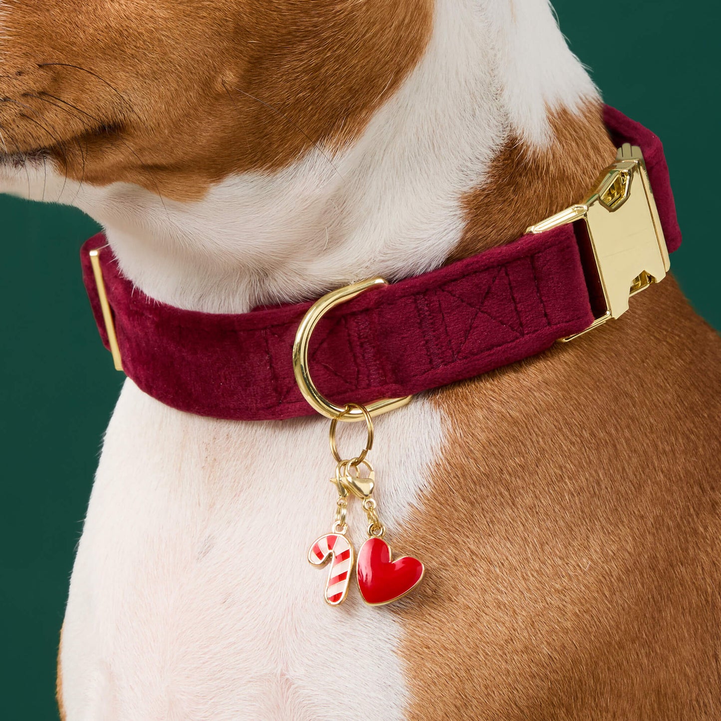 Red Heart Dog Collar Charm by The Foggy Dog