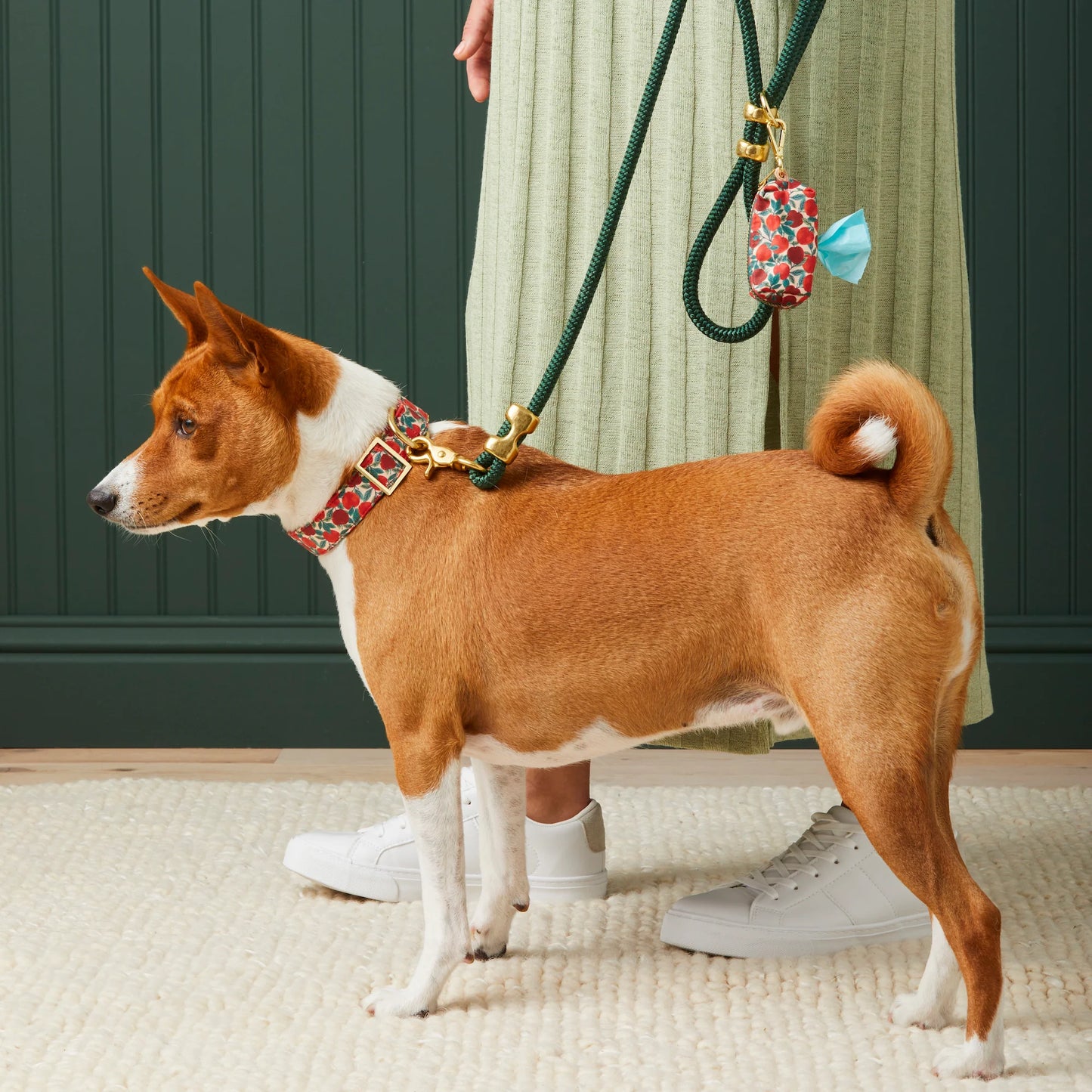 Evergreen Marine Rope Dog Leash by The Foggy Dog