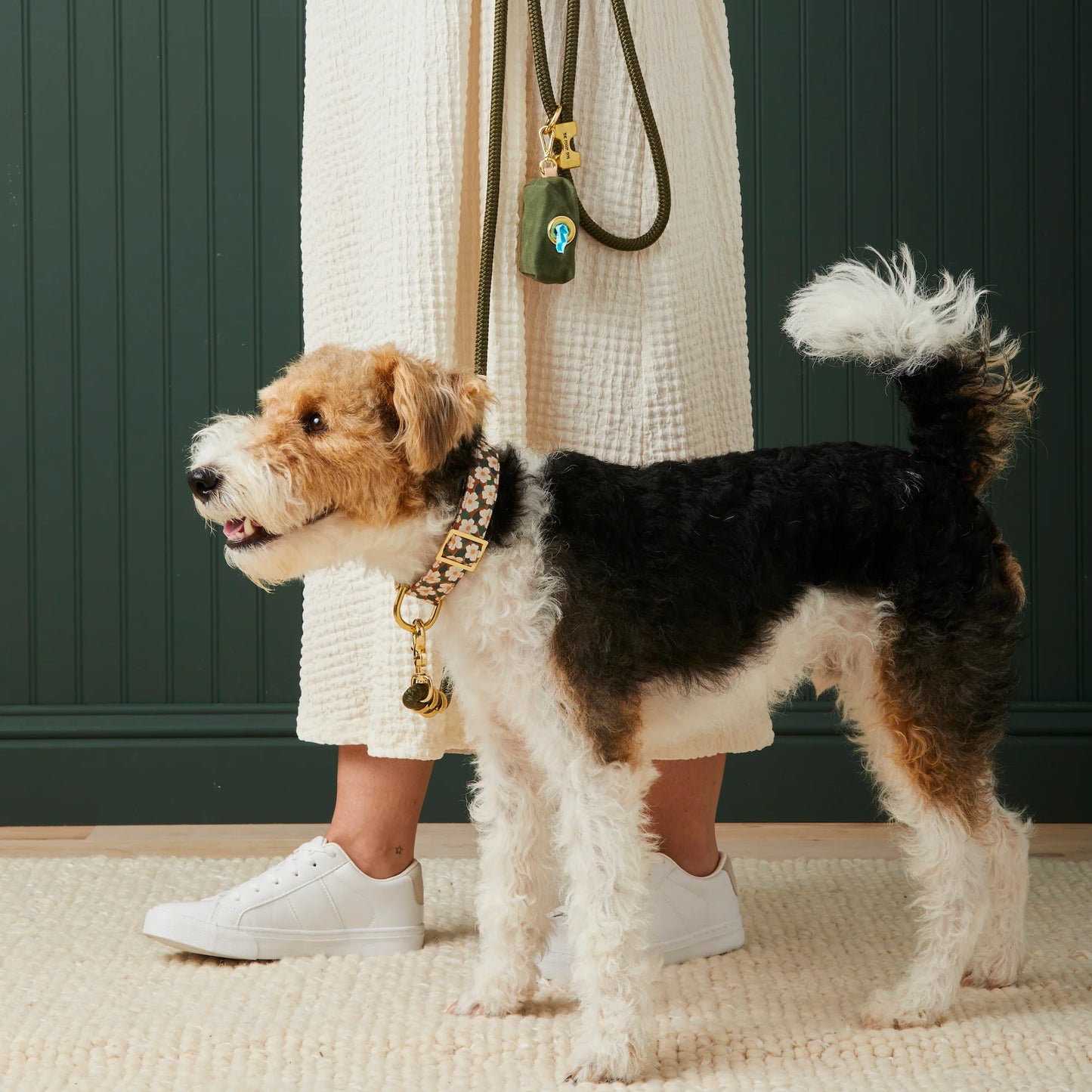 Olive Marine Rope Dog Leash by The Foggy Dog