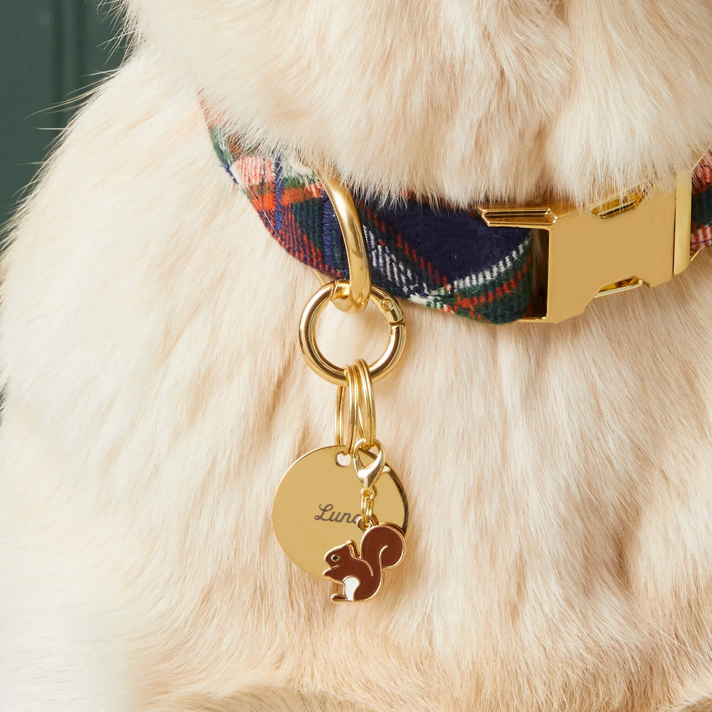 Squirrel Dog Collar Charm by The Foggy Dog