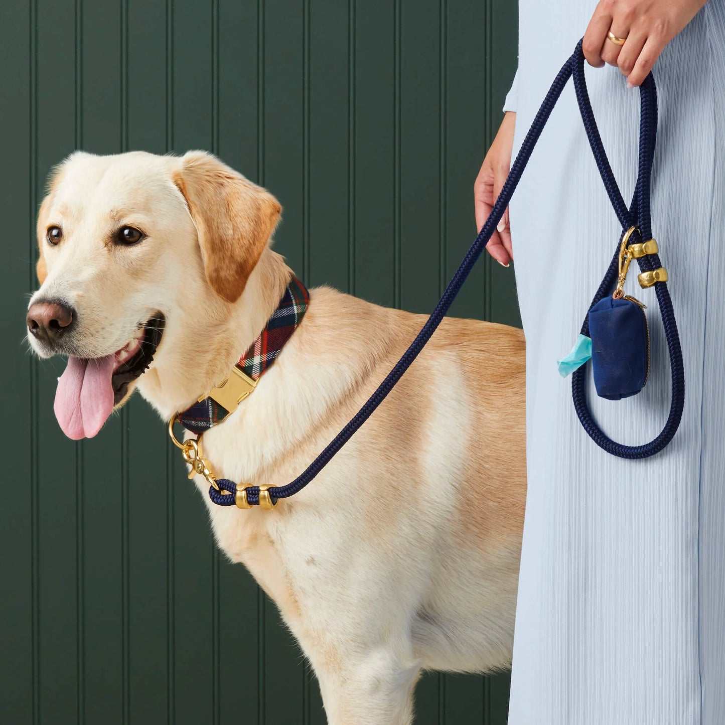 Ocean Marine Rope Dog Leash by The Foggy Dog