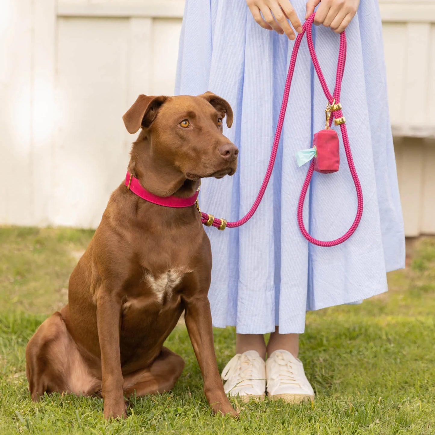 Hot Pink Marine Rope Dog Leash by The Foggy Dog