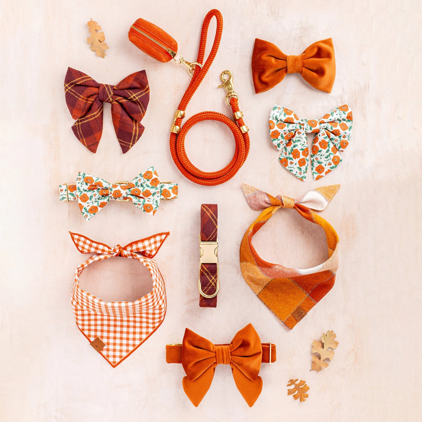 Pumpkin Velvet Dog Collar by The Foggy Dog