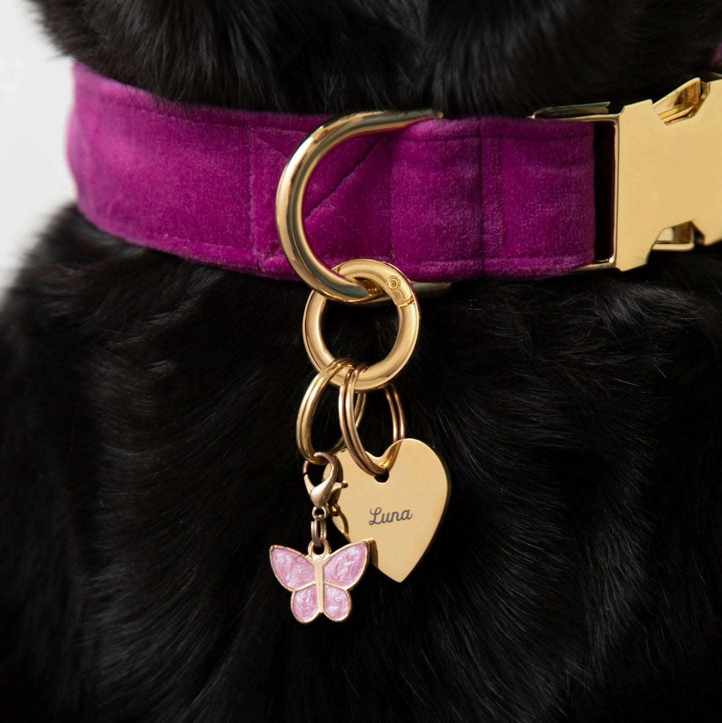 Butterfly Dog Collar Charm by The Foggy Dog