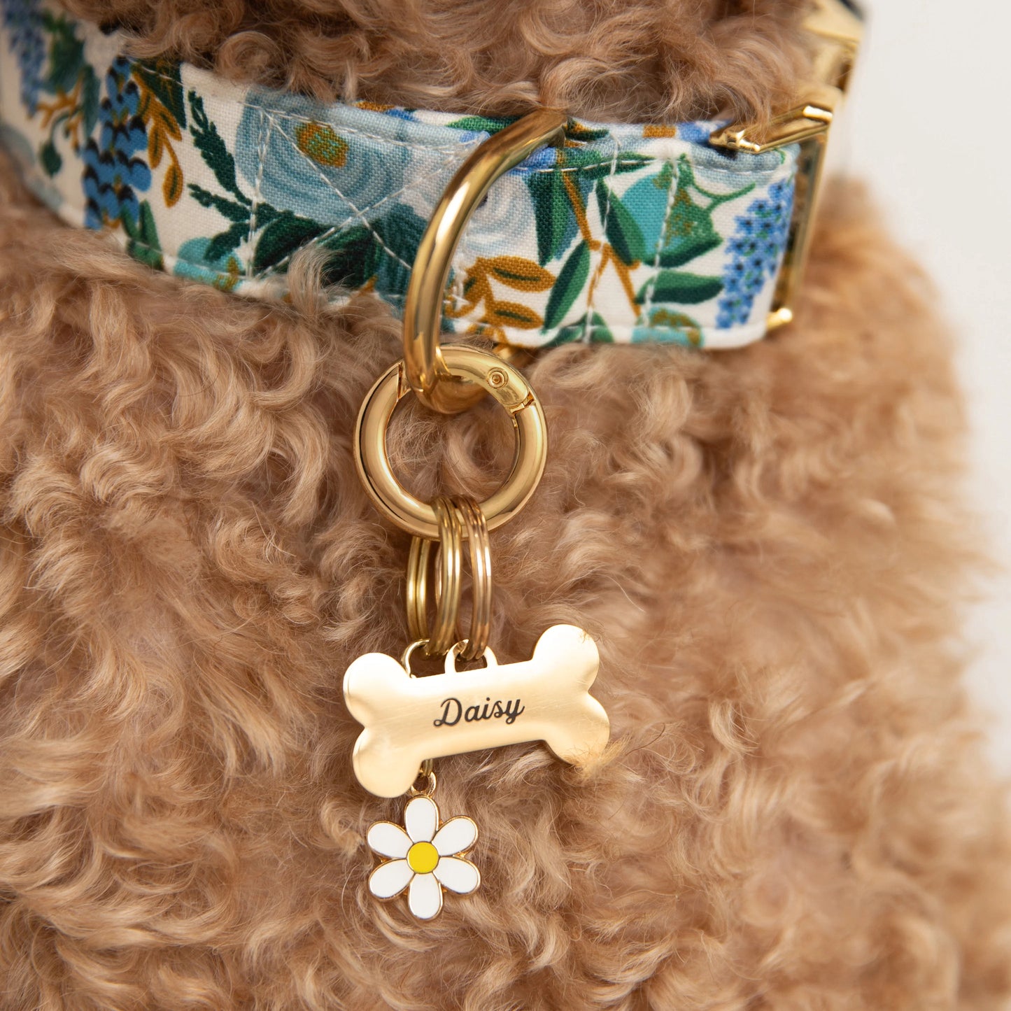 Daisy Dog Collar Charm by The Foggy Dog